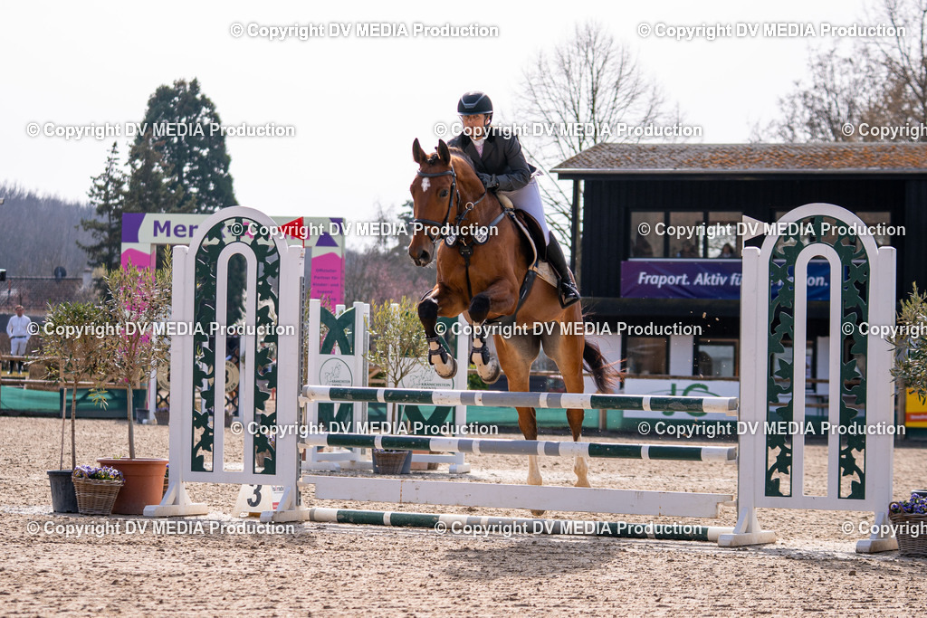 Kranichstein Tag 1-543 | dv-media-shop - Realisiert mit Pictrs.com