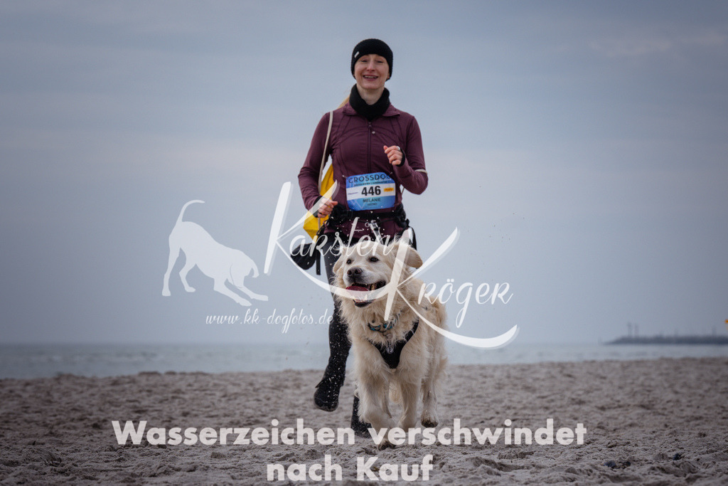 1153_ZZ91254 | kk-dogfotos