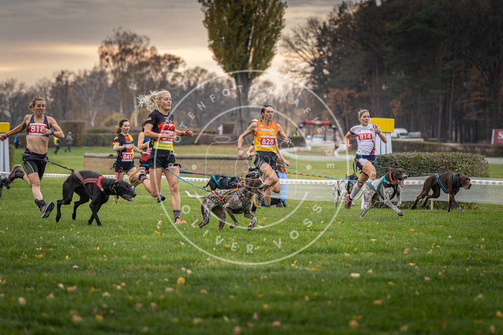 CaniXpix_DV3A6034 | Hundefotografie, Tierfotograf, Pfotenfotografie, Fotoshooting Hund, Hunde Portrait, Hundesport, Hundeportraits, Heideshooting, Hunde, Sportfotograf, Hundefotograf, Turnierhundsport, THS,  - Realisiert mit Pictrs.com