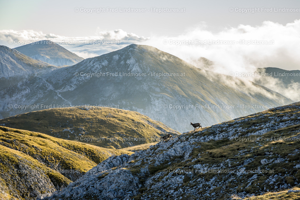 Hochschwabgebiet | Fotos und Fotoprodukte - Realisiert mit Pictrs.com
