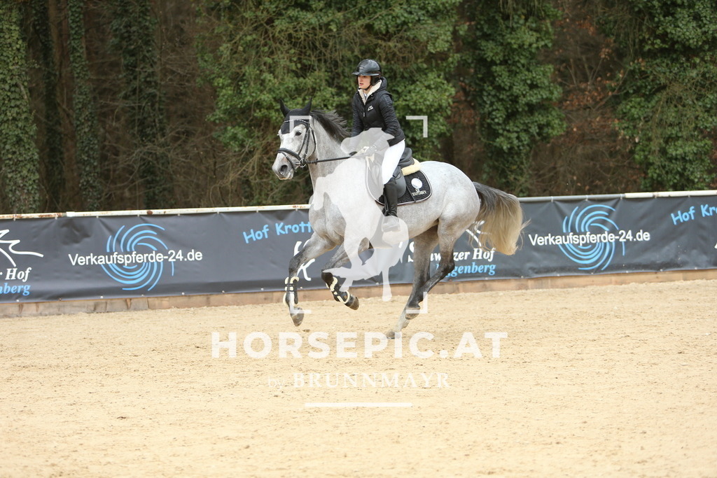 DL2Q6304 | Willkommen bei Brunnmayr - Design & Fotografie – Ihrem Spezialisten für Reitturniere und Pferdeveranstaltungen in Oberösterreich, Salzburg und Bayern! Seit über 17 Jahren sind wir leidenschaftlich dabei.