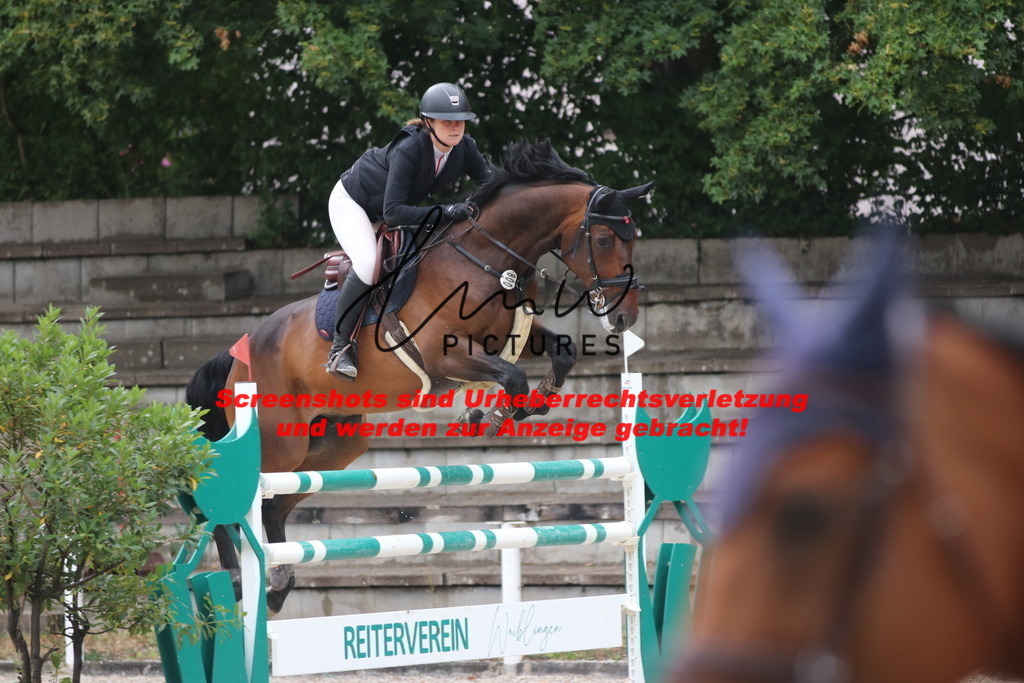 IMG_8467 | lmwpictures - Realisiert mit Pictrs.com