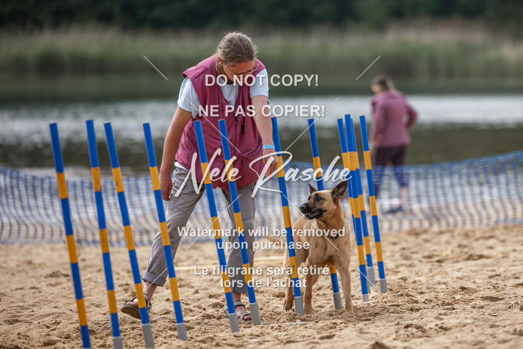 nelerasche_BuHu2026_So1530-Ende_83 | nelerasche