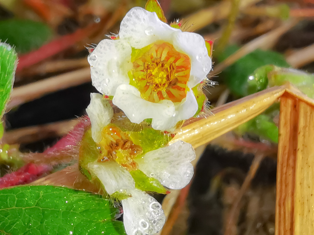 PSX_20230324_224716 | mtkfoto_ - Realisiert mit Pictrs.com