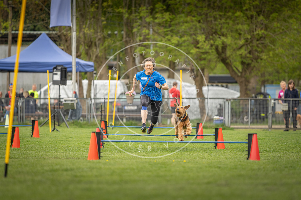 Pfotenfotografie_DV3A8380 | Hundefotografie, Tierfotograf, Pfotenfotografie, Fotoshooting Hund, Hunde Portrait, Hundesport, Hundeportraits, Heideshooting, Hunde, Sportfotograf, Hundefotograf, Turnierhundsport, THS,  - Realisiert mit Pictrs.com