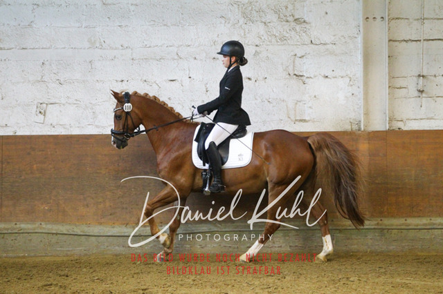 DKP43312 | Turniersportfotografie; Pferdefotografie; Dressurfotografie