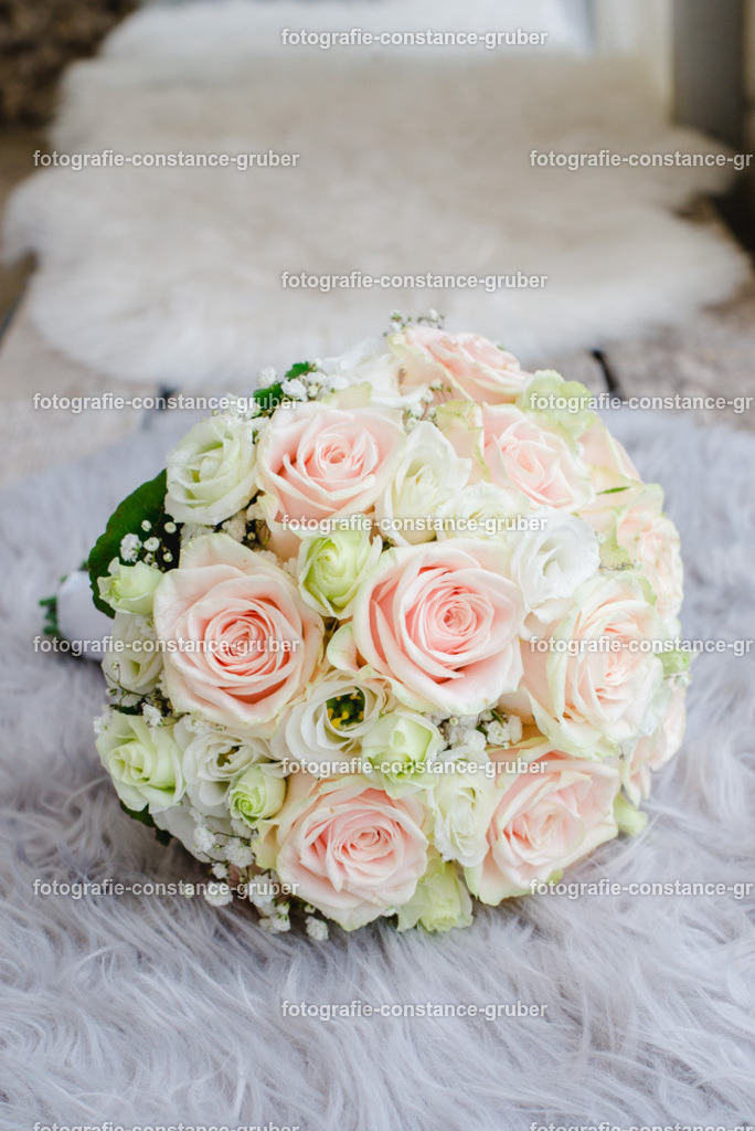 1027 | Fotografie Constance Gruber - Realisiert mit Pictrs.com