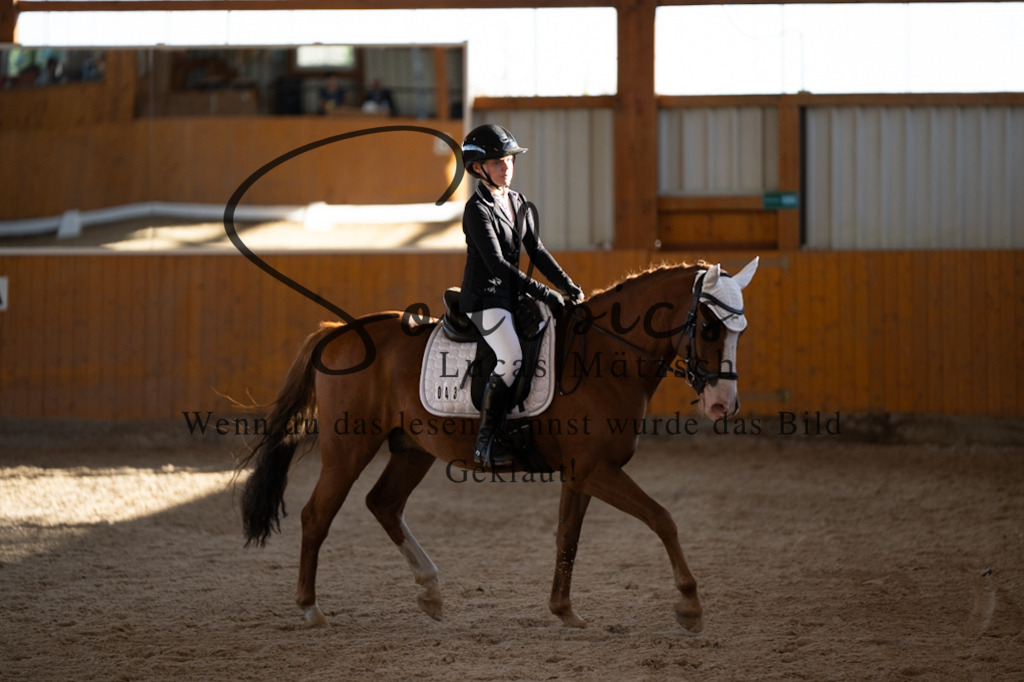 A7V01717 | Pferdefotograf