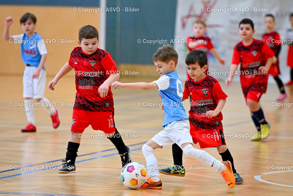 ASVÖ_ Fussball Nachwuchs Hallenturnier 2026_ SV Gallneukirchen_ 28.02.2026-55 | 28.02.2026, Gallneukirchen, AUT, ASVÖ, Fussball Nachwuchs Hallenturnier 2026, SV Gallneukirchen im Bild Teilnehmer U7©Harald Dostal / fodo.media - Realisiert mit Pictrs.com