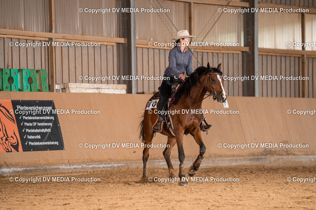 Losheim Tag 1-447 | dv-media-shop - Realisiert mit Pictrs.com