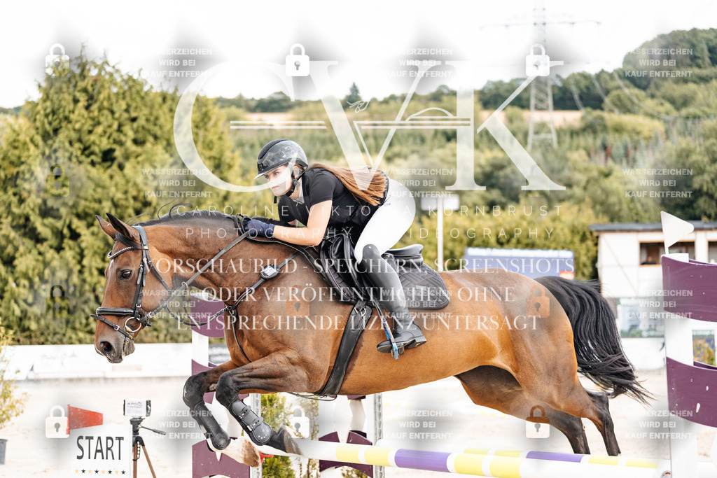 CK902600 | Turnierfotografie Pferdefotografie Trier Rheinland-Pfalz Pferdesport Reitsport Tierfotografie Sportfotografie Pferdevideo Pferdevideografie Equestrianvideography equestrianphotography  - Realisiert mit Pictrs.com