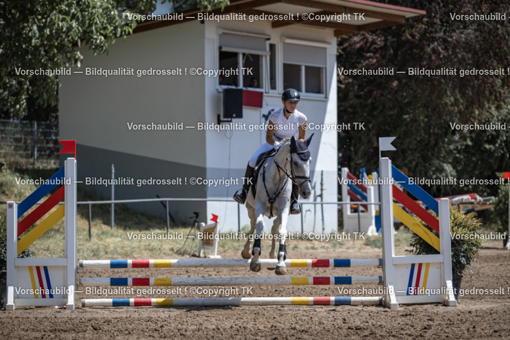 _D5A7294 | Emotionale Pferde- & People-Fotografie rund um Heidelberg, Leimen & Umgebung. Natürliche Fotos von Pferd, Mensch & Familie. Jetzt Termin sichern!