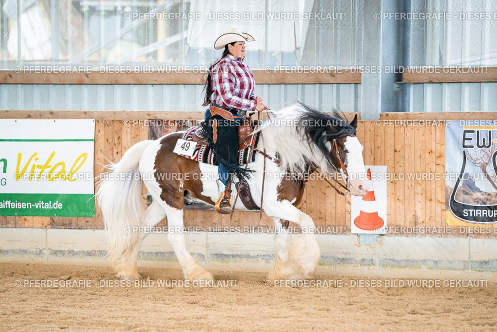 DSC00267 | Pferdegrafie