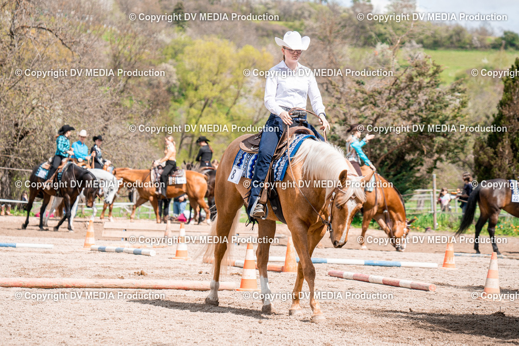 BAL02378 | dv-media-shop - Realisiert mit Pictrs.com