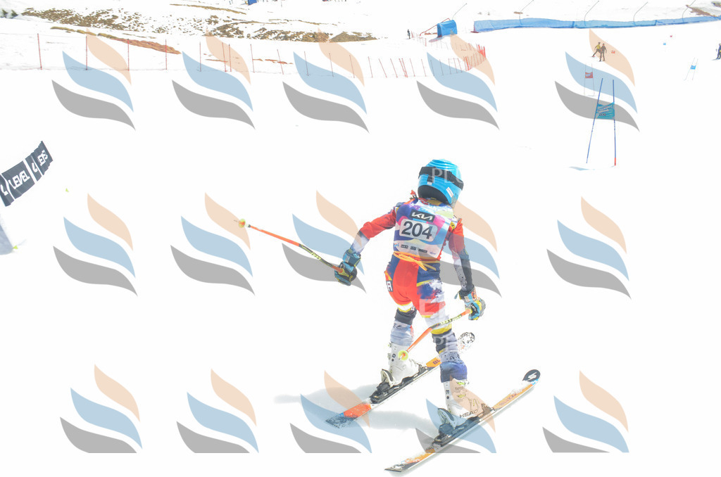 _ELE6965 | holidayphoto