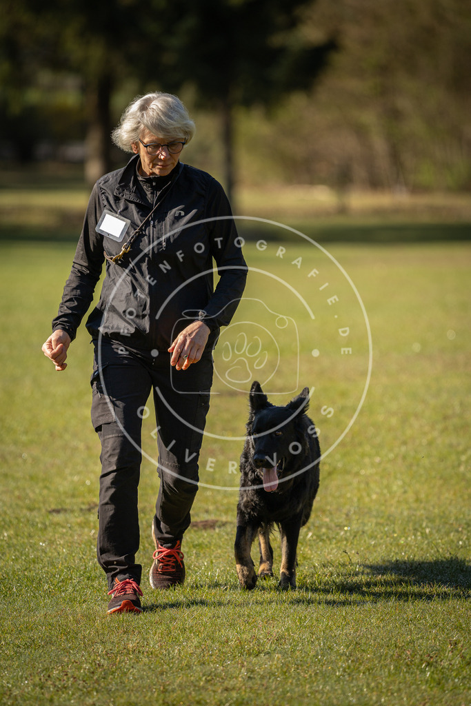 Pfotenfotografie_DV3A0034 | Hundefotografie, Tierfotograf, Pfotenfotografie, Fotoshooting Hund, Hunde Portrait, Hundesport, Hundeportraits, Heideshooting, Hunde, Sportfotograf, Hundefotograf, Turnierhundsport, THS,  - Realisiert mit Pictrs.com