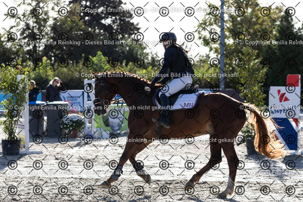 CL5A1037 | Emilia Reinking Fotografie - Realisiert mit Pictrs.com