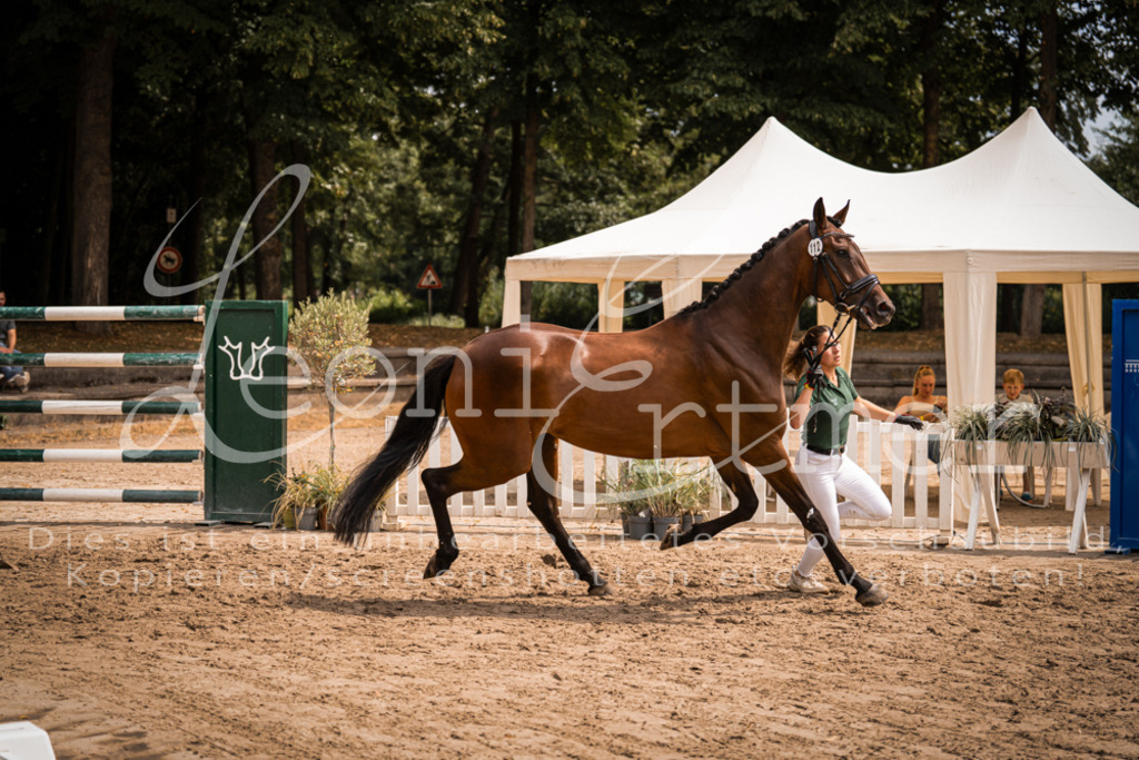 3.Fr00123 | Leoni Ertmer Photography - Realisiert mit Pictrs.com