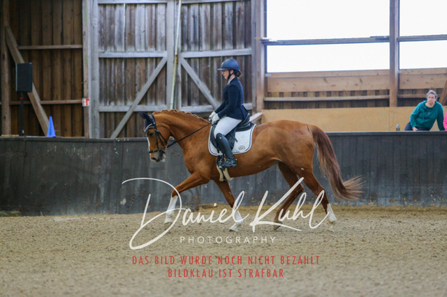 IMG_0052 | Turniersportfotografie; Pferdefotografie; Dressurfotografie