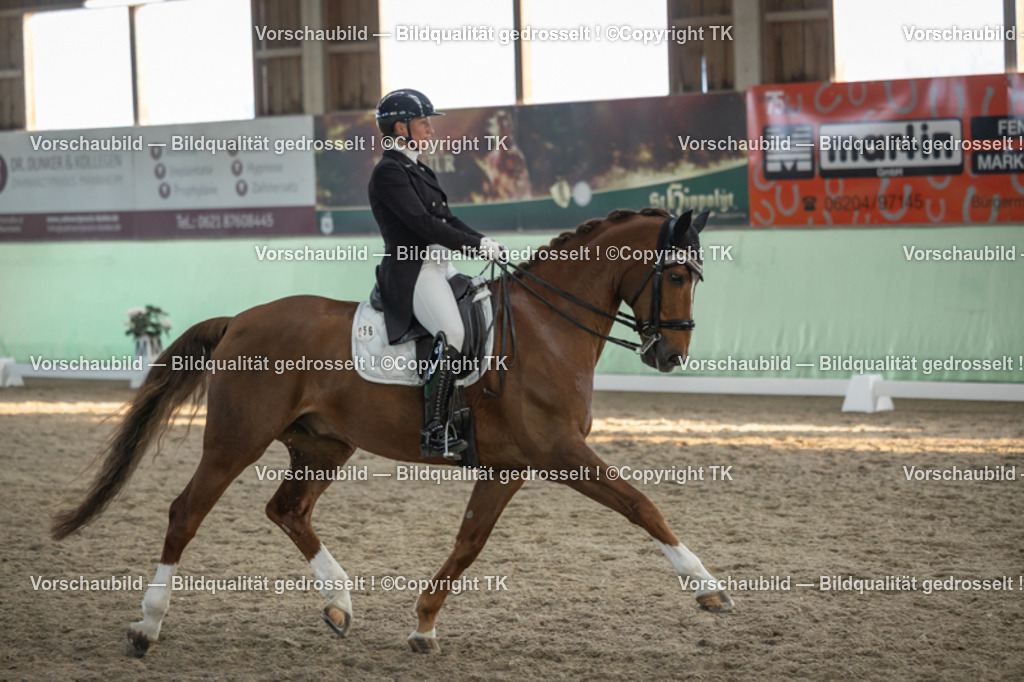 _D5A0835 | Emotionale Pferde- & People-Fotografie rund um Heidelberg, Leimen & Umgebung. Natürliche Fotos von Pferd, Mensch & Familie. Jetzt Termin sichern!