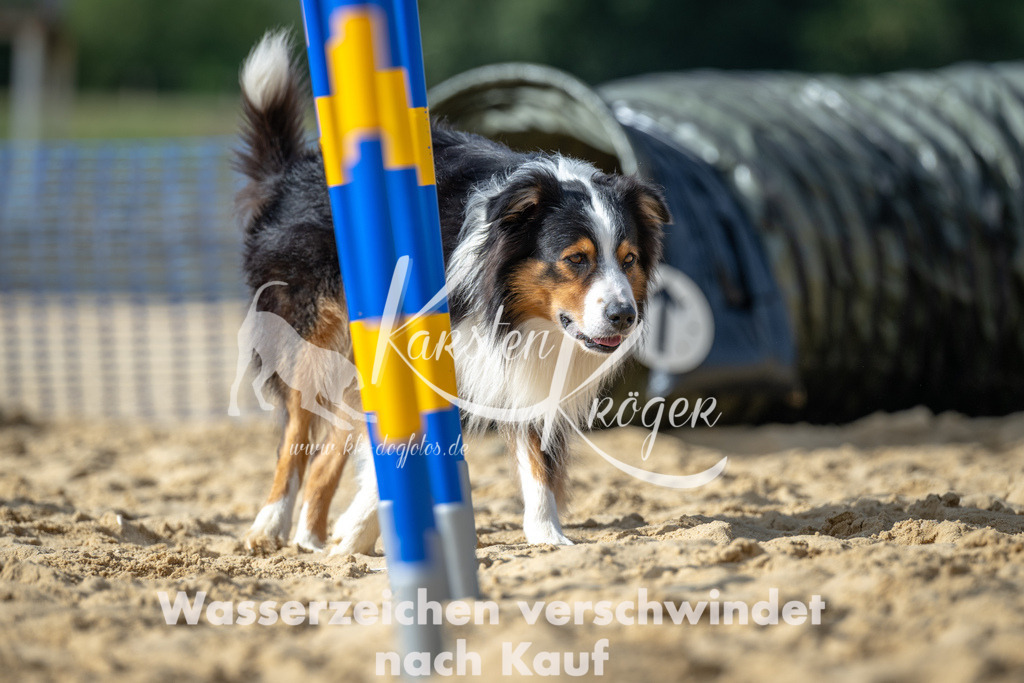 1431_ZZ91490 | kk-dogfotos