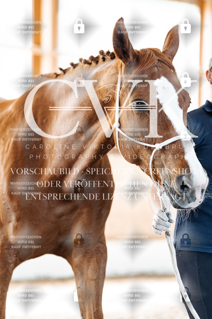 CK906111 | Turnierfotografie Pferdefotografie Trier Rheinland-Pfalz Pferdesport Reitsport Tierfotografie Sportfotografie Pferdevideo Pferdevideografie Equestrianvideography equestrianphotography  - Realisiert mit Pictrs.com