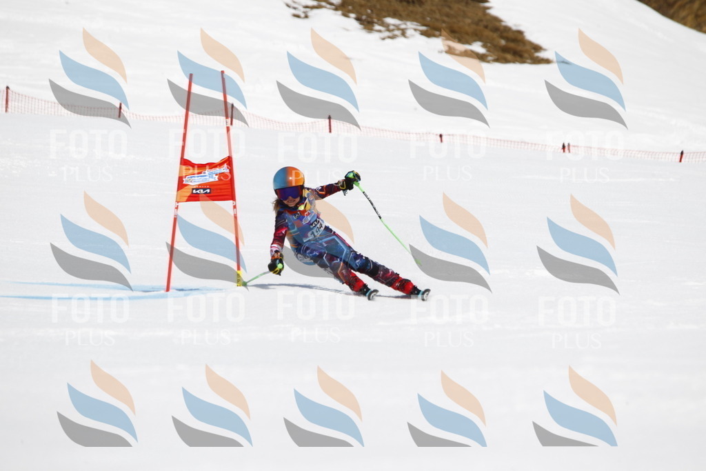 _U3G5080 | holidayphoto