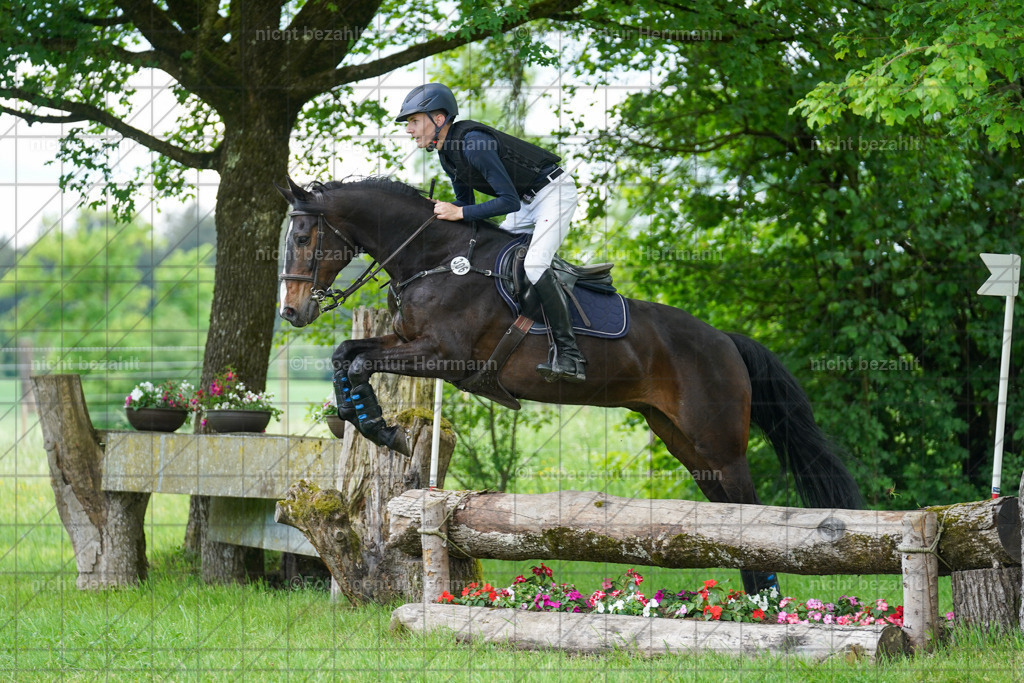 20240518-FAH03874 | Turnierbilder von Niederseon, Turnierfotografen Bayern, Fotoagentur Herrmann, Geländebilder, Reitsportfotografie