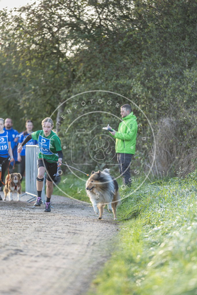 Pfotenfotografie.de_DV3A2485 | Hundefotografie, Tierfotograf, Pfotenfotografie, Fotoshooting Hund, Hunde Portrait, Hundesport, Hundeportraits, Heideshooting, Hunde, Sportfotograf, Hundefotograf, Turnierhundsport, THS, canicross - Realisiert mit Pictrs.com