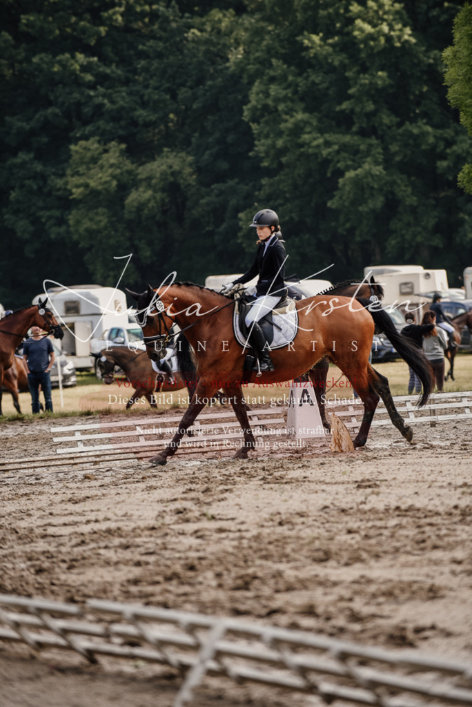 DSC_8232 | Pferde- und Turnierfotografie in Westsachsen. Pferdeportraits, Auftragszeichnungen und intuitive Kunst.