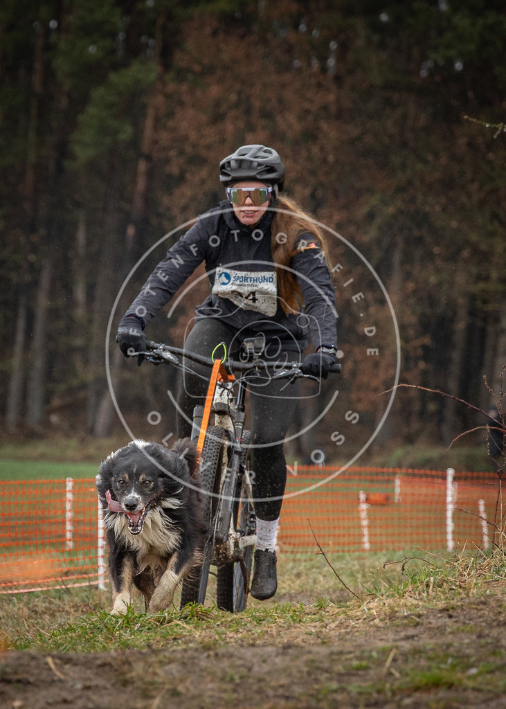 0L8A9002 | Hundefotografie, Tierfotograf, Pfotenfotografie, Fotoshooting Hund, Hunde Portrait, Hundesport, Hundeportraits, Heideshooting, Hunde, Sportfotograf, Hundefotograf, Turnierhundsport, THS,  - Realisiert mit Pictrs.com