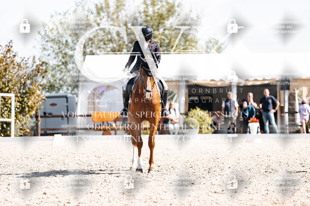CK902796 | Turnierfotografie Pferdefotografie Trier Rheinland-Pfalz Pferdesport Reitsport Tierfotografie Sportfotografie Pferdevideo Pferdevideografie Equestrianvideography equestrianphotography  - Realisiert mit Pictrs.com