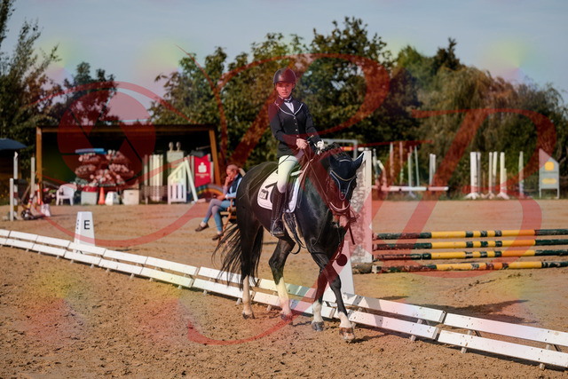 2026_10_03_Siefer-Hof_121422_Z63_39496205 | Professionelle Reitsport-, Turnier- und Eventfotografie von Robert Broda. Galerien mit ausgewählten und bearbeiteten Bildern direkt online ansehen und bestellen.