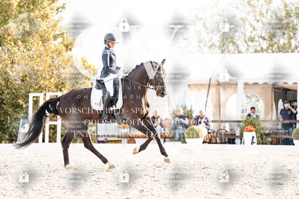 CK901064 | Turnierfotografie Pferdefotografie Trier Rheinland-Pfalz Pferdesport Reitsport Tierfotografie Sportfotografie Pferdevideo Pferdevideografie Equestrianvideography equestrianphotography  - Realisiert mit Pictrs.com