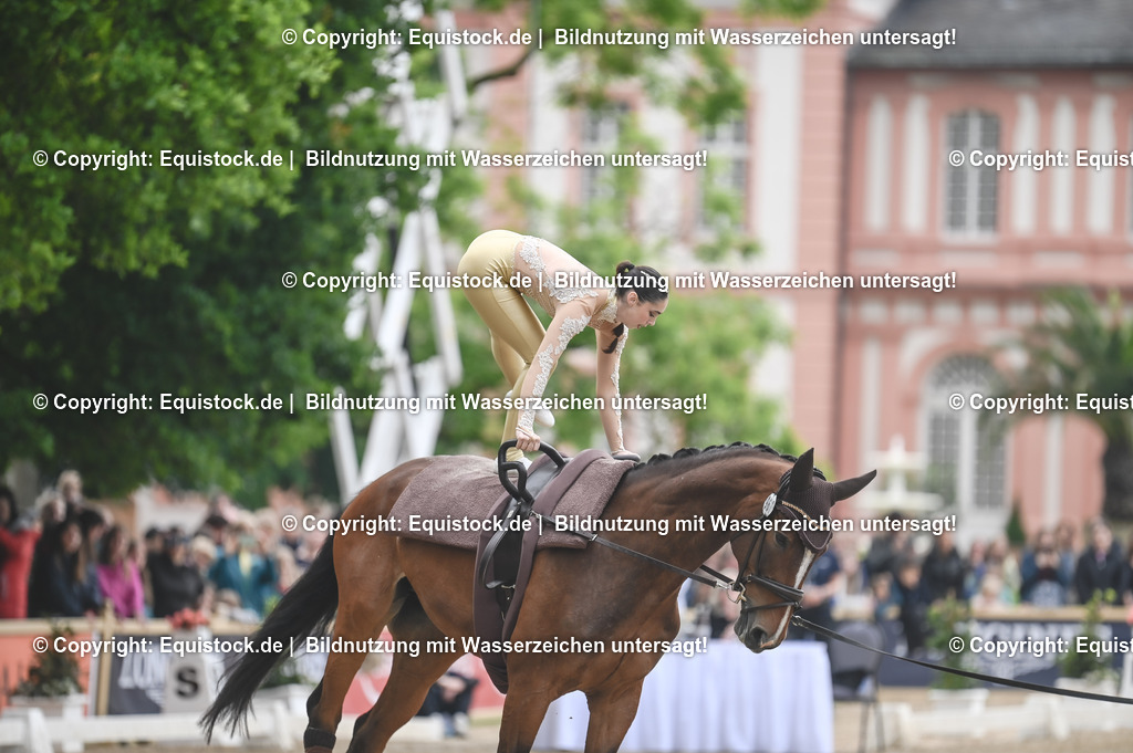 20240519_Voltige_0193 | Foto: Thomas Hartig