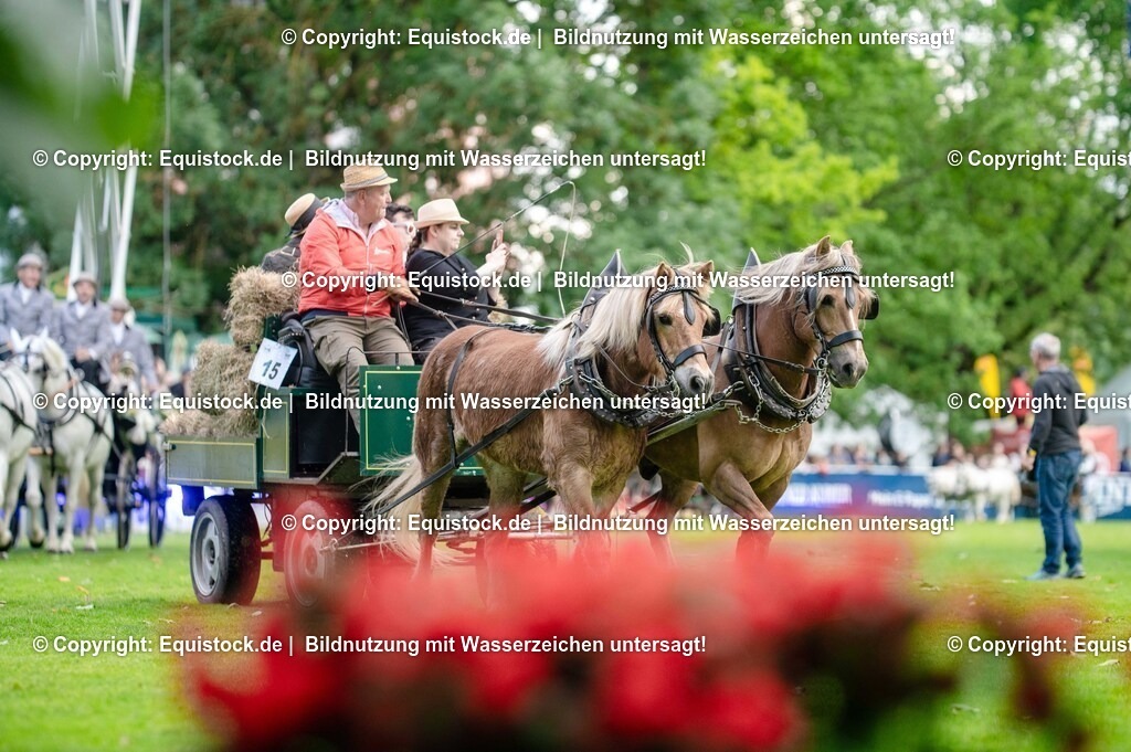 20250606_Lange-Pferdenacht_0157 | Foto: Thomas Hartig