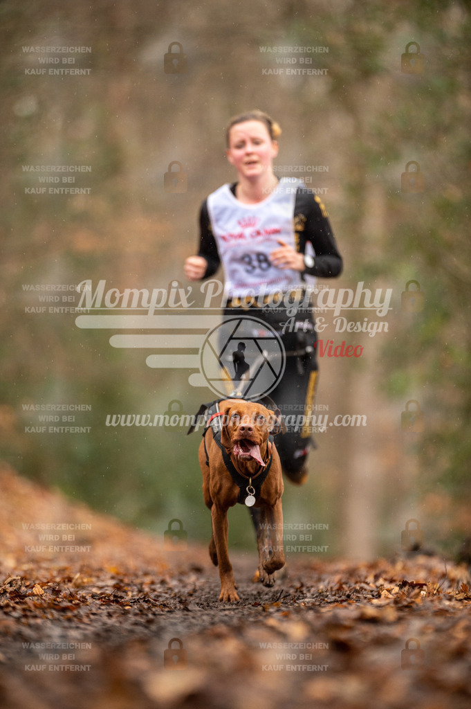 SPA_2023_DIM_CCL-86 | PayLife