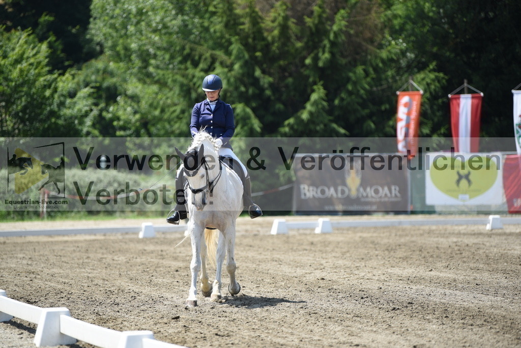 DSC_0273 | equestrian-live-com