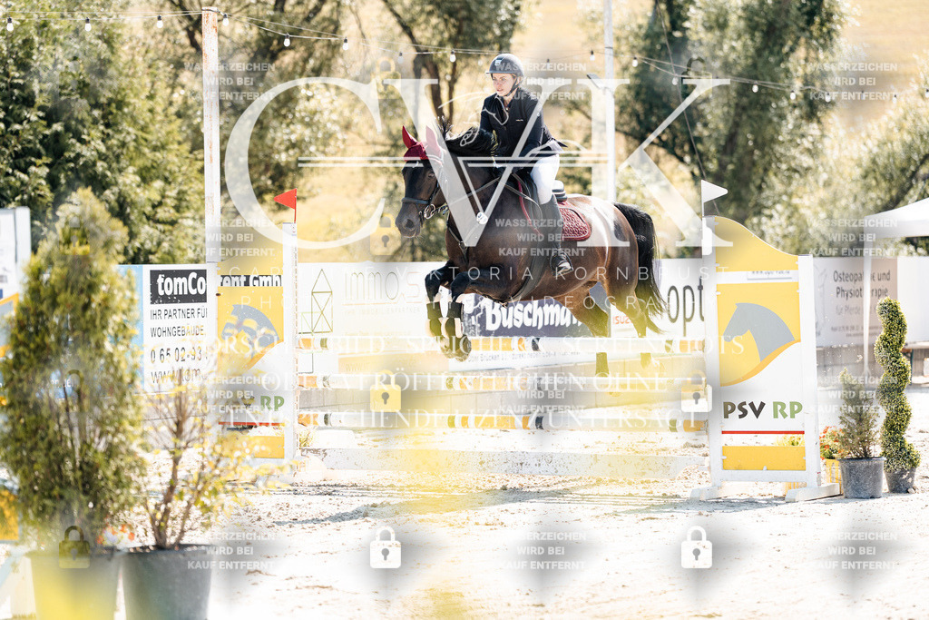 CK908801 | Turnierfotografie Pferdefotografie Trier Rheinland-Pfalz Pferdesport Reitsport Tierfotografie Sportfotografie Pferdevideo Pferdevideografie Equestrianvideography equestrianphotography  - Realisiert mit Pictrs.com