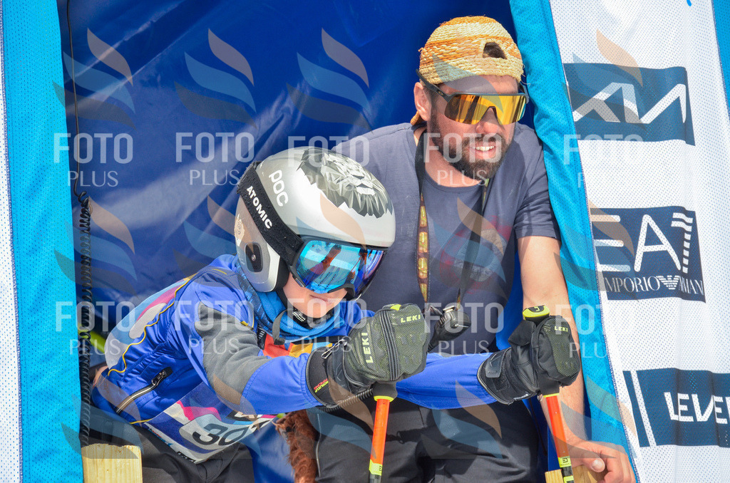 _ELE8243 | holidayphoto