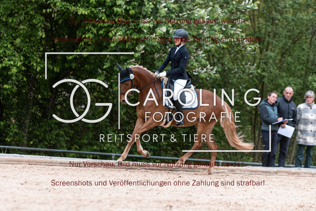 DSC_7017 | Turnierfotografin Carolin Gieschke,Reitsport Turnierfotografie Carolin G Fotografie | Turnierfotos aus Kirchheim/Teck, Esslingen, Stuttgart und dem Bodenseekreis