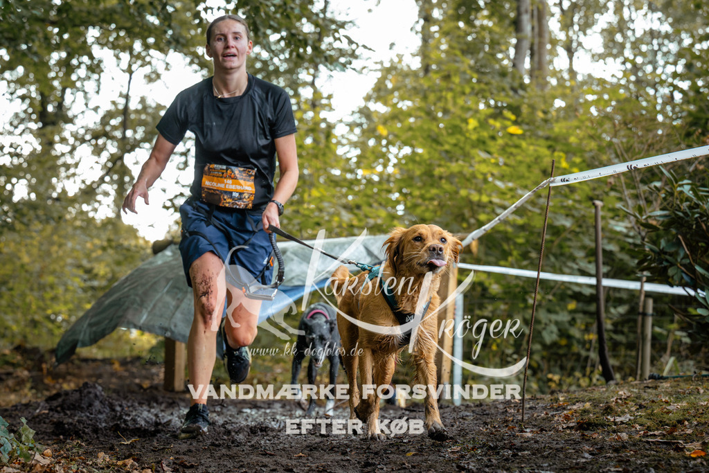 1410DZ6_1157Z6 | kk-dogfotos