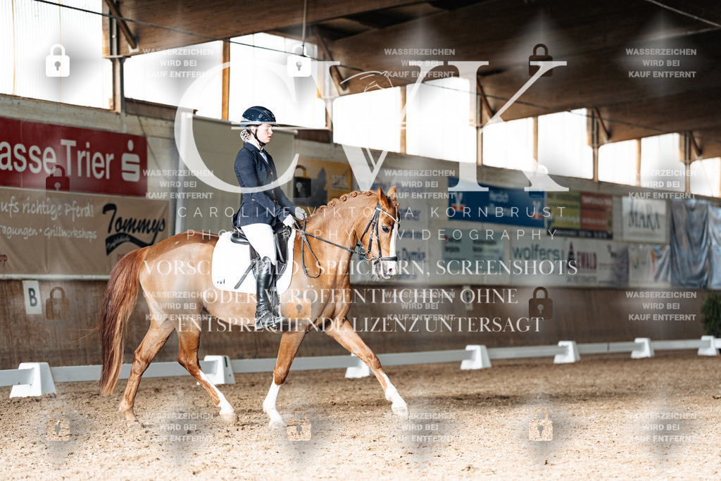 CK902978 | Turnierfotografie Pferdefotografie Trier Rheinland-Pfalz Pferdesport Reitsport Tierfotografie Sportfotografie Pferdevideo Pferdevideografie Equestrianvideography equestrianphotography  - Realisiert mit Pictrs.com