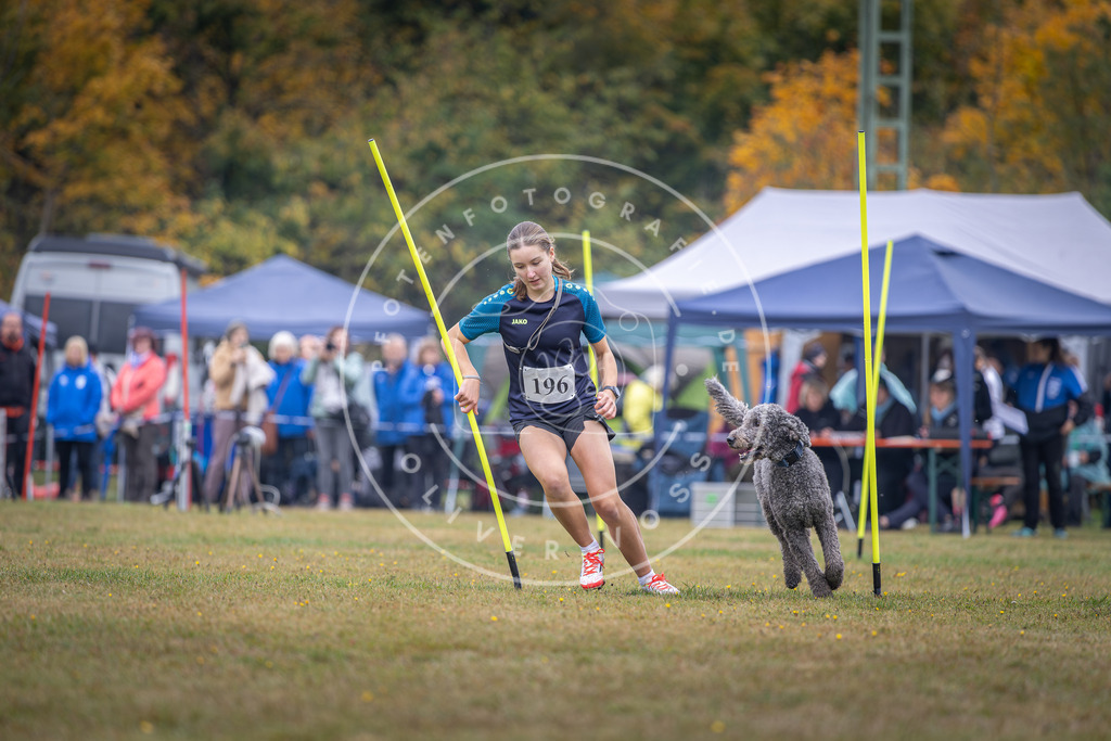 Pfotenfotografie_DV3A1048 | Hundefotografie, Tierfotograf, Pfotenfotografie, Fotoshooting Hund, Hunde Portrait, Hundesport, Hundeportraits, Heideshooting, Hunde, Sportfotograf, Hundefotograf, Turnierhundsport, THS,  - Realisiert mit Pictrs.com