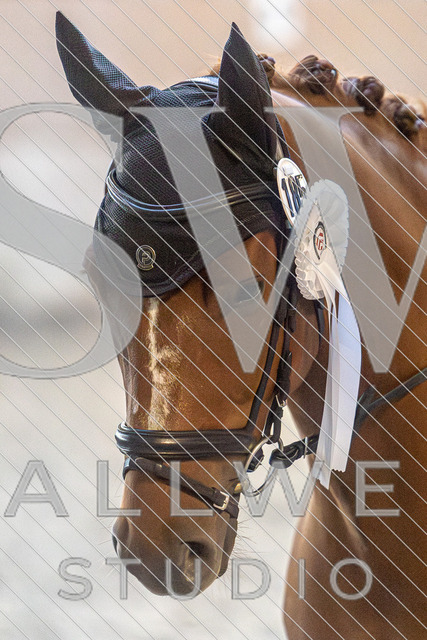 2L2A3417 | stallwerkstudio - Realisiert mit Pictrs.com