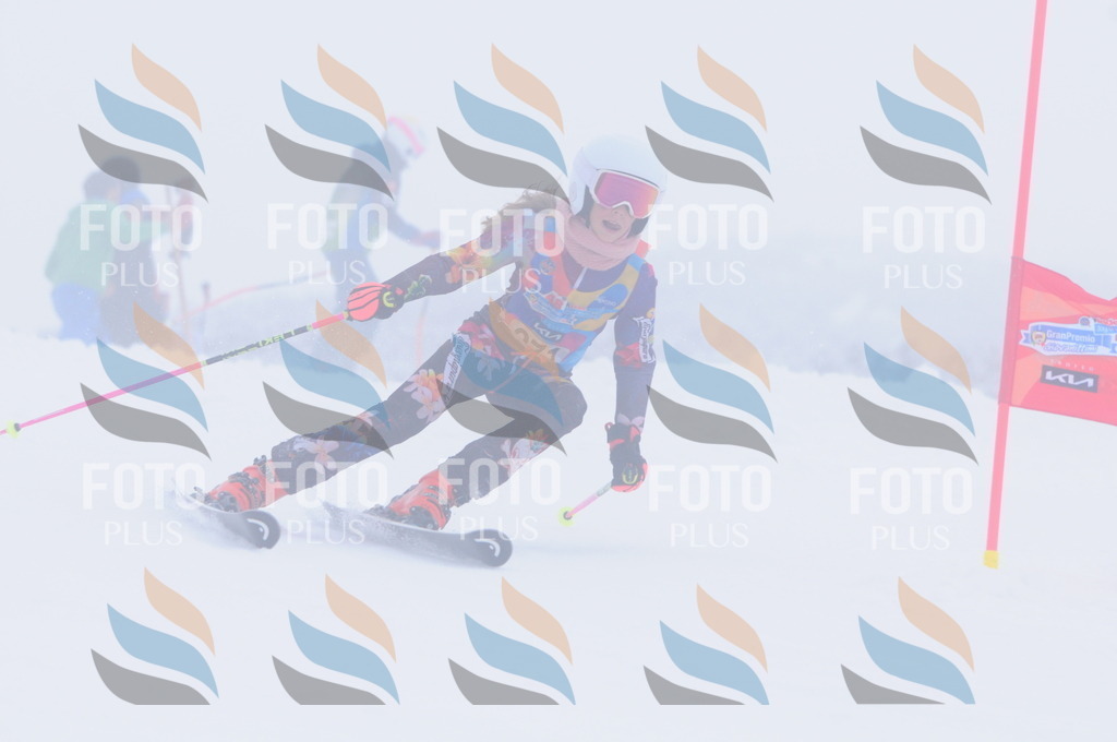 C2847 | holidayphoto