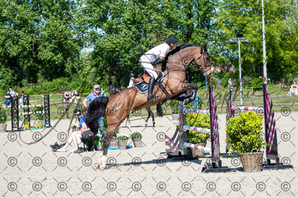 KPT_1401 | andre_photographic