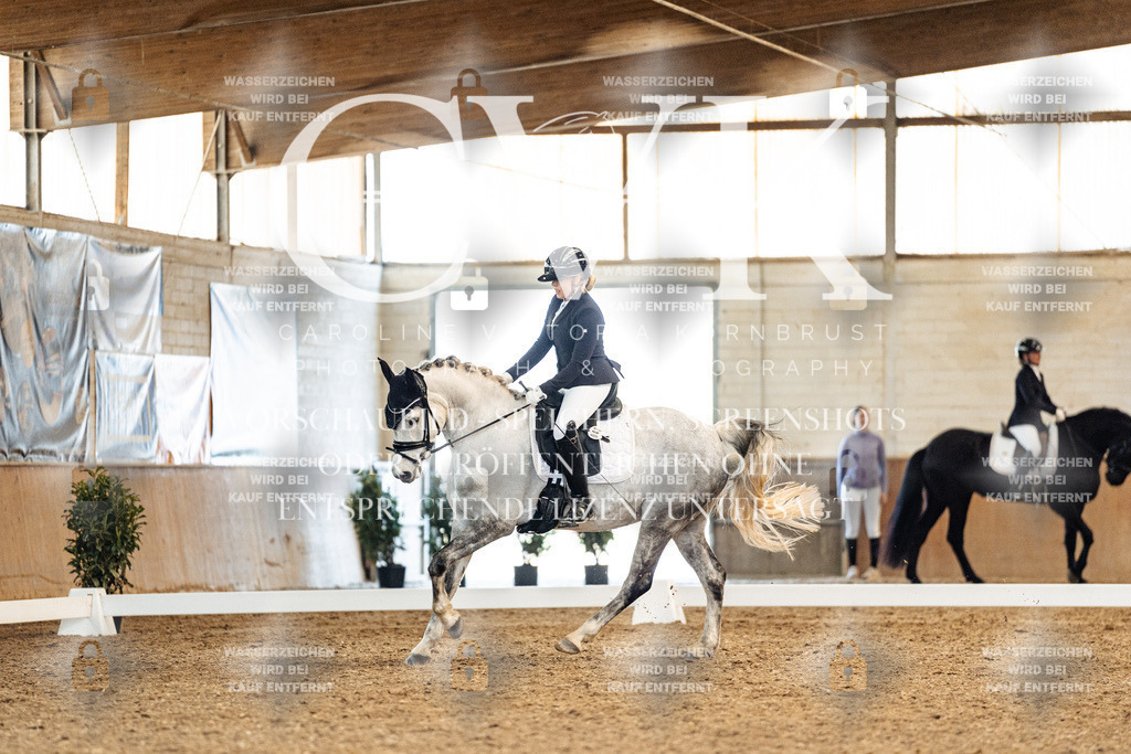 CK909622 | Turnierfotografie Pferdefotografie Trier Rheinland-Pfalz Pferdesport Reitsport Tierfotografie Sportfotografie Pferdevideo Pferdevideografie Equestrianvideography equestrianphotography  - Realisiert mit Pictrs.com