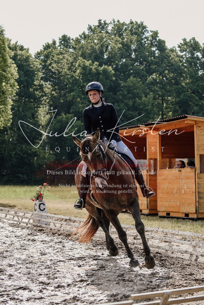 DSC_9238 | Pferde- und Turnierfotografie in Westsachsen. Pferdeportraits, Auftragszeichnungen und intuitive Kunst.