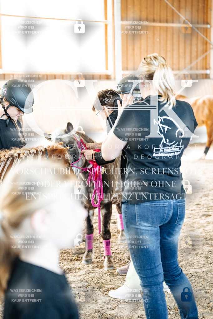 CK703198 | Turnierfotografie Pferdefotografie Trier Rheinland-Pfalz Pferdesport Reitsport Tierfotografie Sportfotografie Pferdevideo Pferdevideografie Equestrianvideography equestrianphotography  - Realisiert mit Pictrs.com